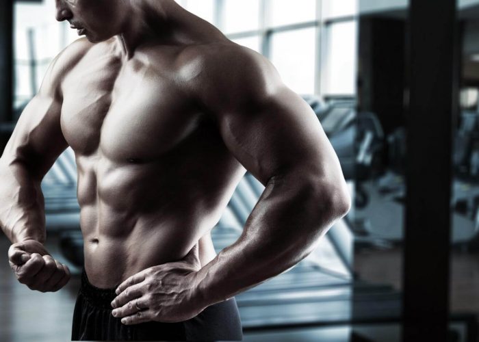How Long Does It Take to Build Muscle