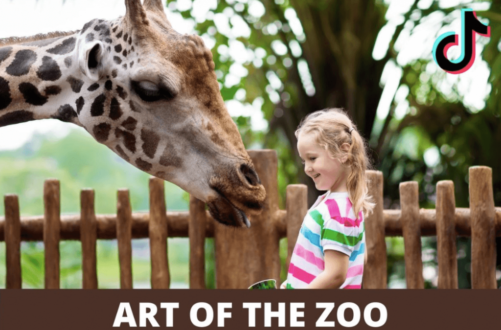 Art Of The Zoo